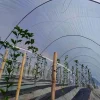 Plastico Agroclear Tomatera E-5*4*130 - Imagen 2