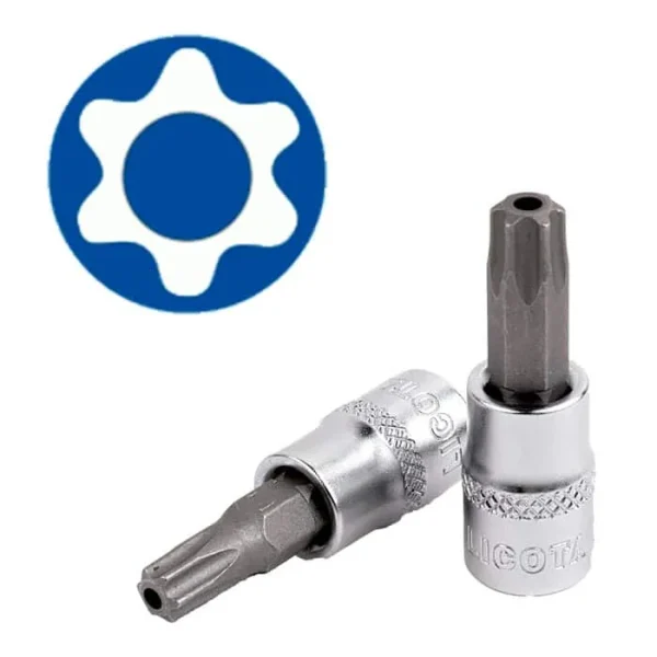 Vasos + punta Torx guía 1/2″ Machos