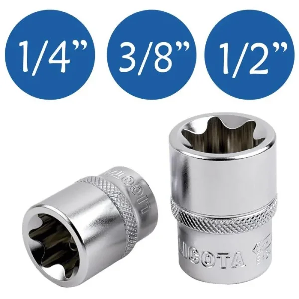 Vasos cortos Torx Hembra